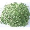 Freezing dried sweet basil leaves,FD Basil