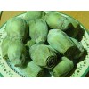 Artichoke