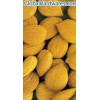 chinese bitter apricot kernels
