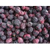 Sell frozen blackberry