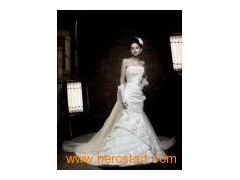 Customize Fashion Bridal Wedding Dress (4014)图1