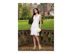 Bridal Mother Dress&Mother of The Bride Dress (C5083)图1