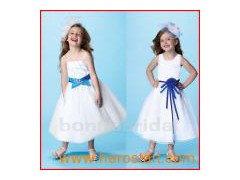 2011 Brief Style & Lovely Flower Girl Dress (H006)图1