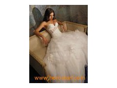 Beaded Wedding Bridal Gown (C5032)图1