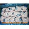 frozen blue fish fillet 01