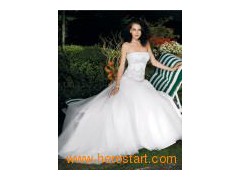 Embroidered Princess Bridal Dress Wear, Wedding Gown (C5065)图1