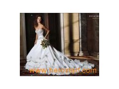 Fashion Bridal Dress Gown (4018)图1