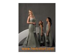 High Quality Elegant Bridesmaid Dress (BM020)图1