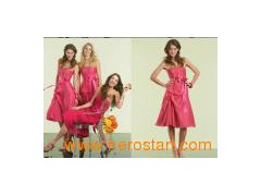 Fashion Bridesmaid Dress (BM014)图1