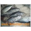 frozen seafood (skipjack tuna)