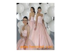 Evening Party Dress/Ball Gown of High Quality (A6-002)图1