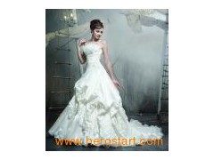 Popular Fashion Bridal Dress Gown (C5126)图1