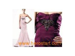 Latest Hot Popular Evening Dress Gown (8025)图1