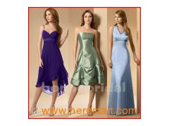 Strapless Fashion Elegant Bridesmaid Dress (B004)图1