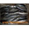 frozen seafood( mackerel 300-500g)