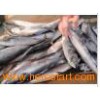 new frozen pacific mackerel(sea frozen)300-500g 02