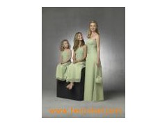 New Hot Popular Fashion Elegant Nice Bridesmaid Dress (BM031)图1