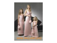 Popular Fashion Bridesmaid Dress (BM056)图1