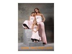 Latest Hot Popular Fashion Elegant Bridesmaid Dress (BM054)图1