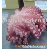 frozen big octopus 06