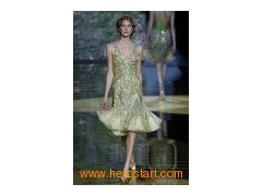 Fashion Evening Gown (5613)图1