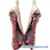 Sell Frozen Pork Carcass