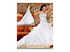 Cathedral Bridal Dress/Wedding Gown (C5064)图1