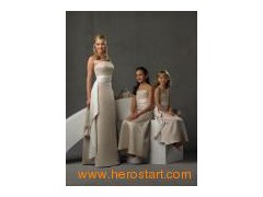 Fashion Elegant Bridesmaid Dress (BM002)图1
