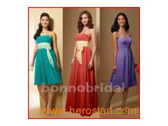 Popular Fashion Bridesmaid Dress (B010)图1
