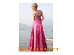 2011 New Style Sexy V-Neck Floor Length Evening Dress (7048)图1