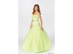 Sell Embroidery Party Prom, Formal Dress图1