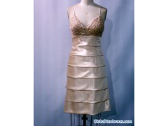 GD2524 evening dress图1