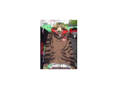 Sell Women's New Style Hoody图1