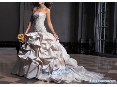 2008 Wedding Dress图1
