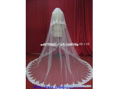 Wedding Dress veil bridal veil图1