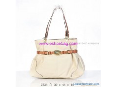 Supply Mulberry Beatrice Tote图1