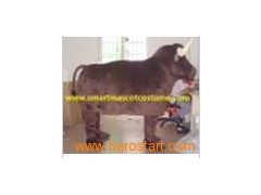 Two Person Bull Costume图1