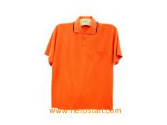 Polo Shirt (DL-6033)图1