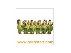 Adult Chicken Mascot/Chicken Mascots/Adult Chicken Costumes/Chicken Costumes图1