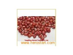 small round red bean图1