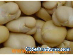 Peeling Broad beans图1