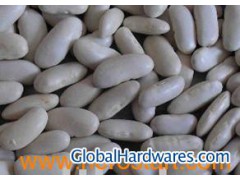 middle White kidney bean图1