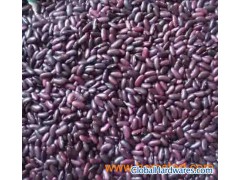 dark red kidney beans图1