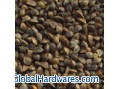 Western large size buckwheat图1