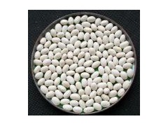 Small White Kidney Bean图1