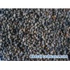 tartary buckwheat