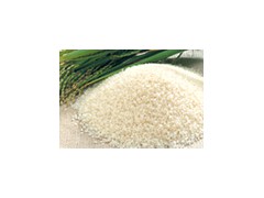 Rice图1