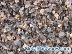 Buckwheat Hull图1