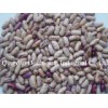 Light Speckled Kidney Beans Long Shape