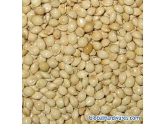 Glutinous Broom Corn图1